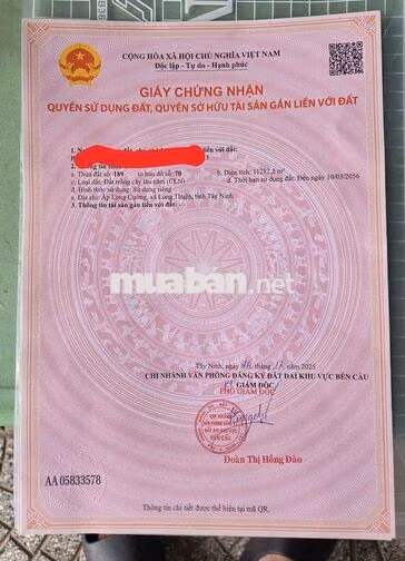 Ra Nhanh đất Bến Cầu Tây Ninh 1Ha - 3tỷ5 chỉ có 1 lô.