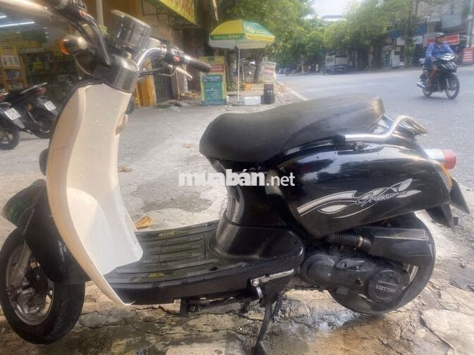 Cree việt thái  50cc 2020 Đen, Trắng Zin
