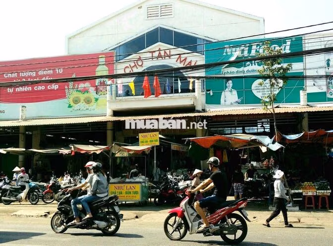 BÁN ĐẤT TÂN MAI, 2 LÔ LIỀN, SỔ HỒNG RIÊNG THỔ CƯ 💯 ĐƯỜNG OTO 7 CHỖ