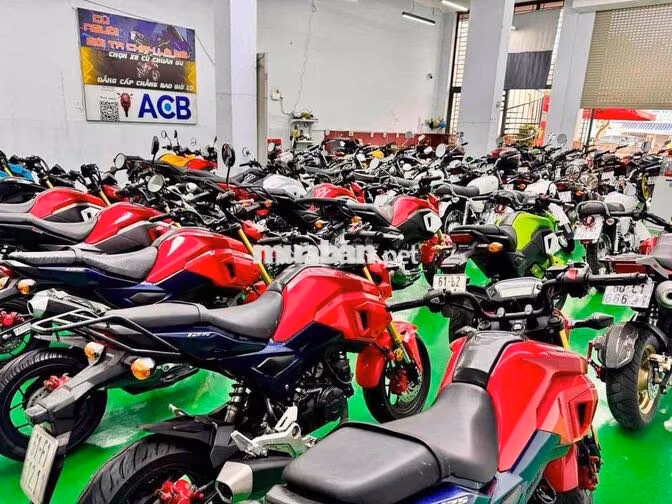 Honda MSX125 Đa dạng