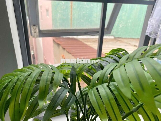 PHÒNG TRỌ MỚI CÓ GÁC, CỬA SỔ TRỜI SIÊU THOÁNG