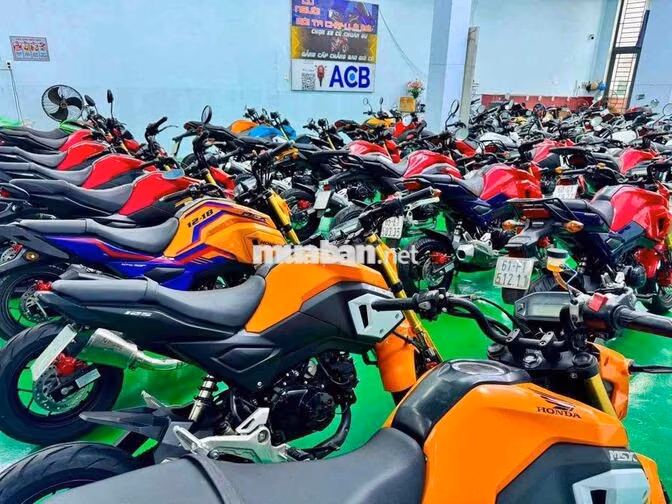 Honda MSX125 Đa dạng