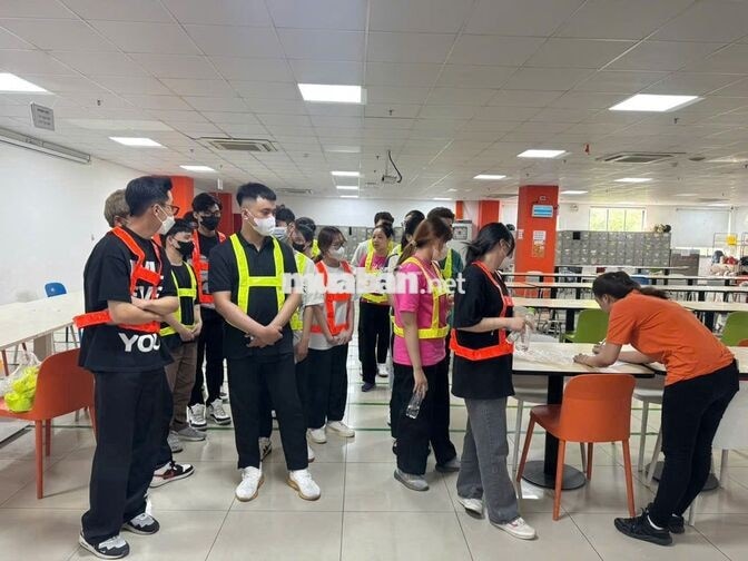 LƯƠNG NGÀY ĐÓNG GÓI TÃ SỮA MỸ PHẨM VISIP