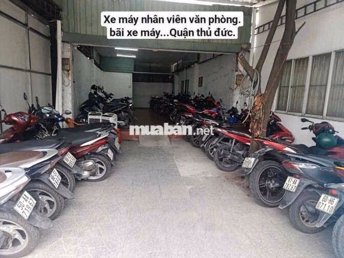 TUYỂN BẢO VỆ BÃI XE VĂN PHÒNG