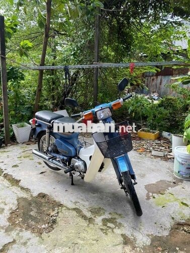 Honda Cub 50cc Xanh Trắng