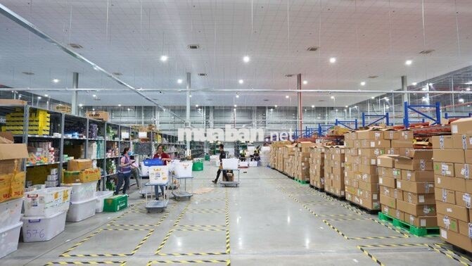 TUYỂN DỤNG NHÂN VIÊN KHO THUỐC CHÍNH THỨC LÂU DÀI