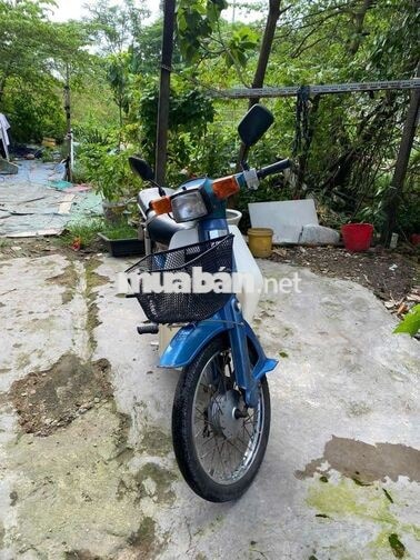 Honda Cub 50cc Xanh Trắng