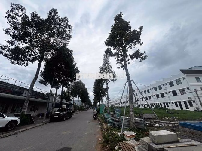 Cho thuê nhà gần trương quốc tế FPT Sóc Trăng