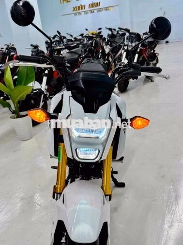 Honda MSX125 2020 Trắng, Đỏ