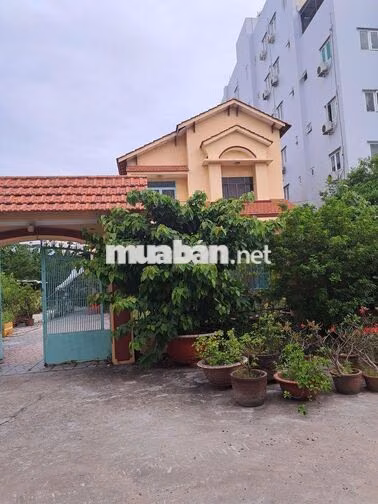 Đất HXH Nguyễn Văn Qúa 4x22m giá 5 tỷ 1 còn bớt