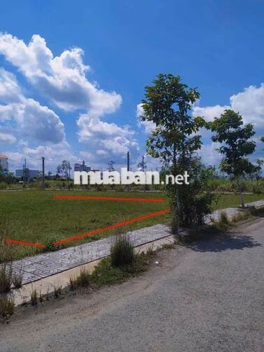 BÁN GẤP ĐẤT LONG AN GIÁ NGỘP CHÍNH CHỦ - 1 TỶ 150 - ĐÃ CÓ SỔ