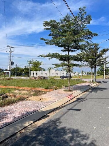 BÁN GẤP ĐẤT LONG AN GIÁ NGỘP CHÍNH CHỦ - 1 TỶ 150 - ĐÃ CÓ SỔ