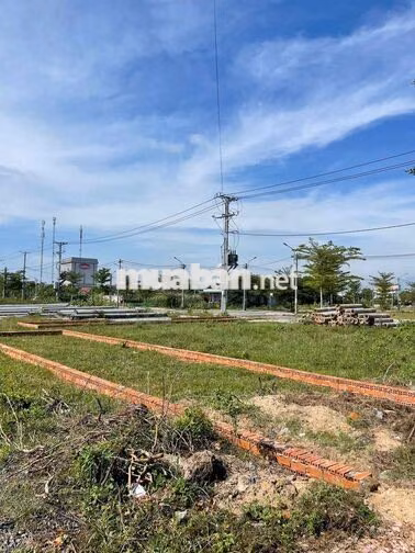 BÁN GẤP ĐẤT LONG AN GIÁ NGỘP CHÍNH CHỦ - 1 TỶ 150 - ĐÃ CÓ SỔ