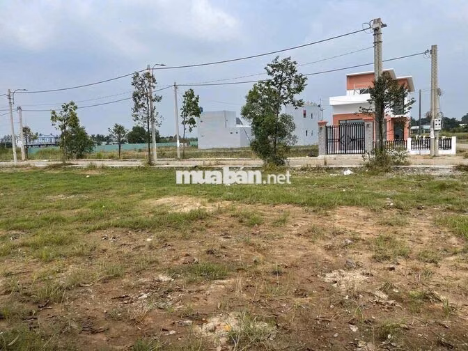 BÁN GẤP ĐẤT LONG AN GIÁ NGỘP CHÍNH CHỦ - 1 TỶ 150 - ĐÃ CÓ SỔ