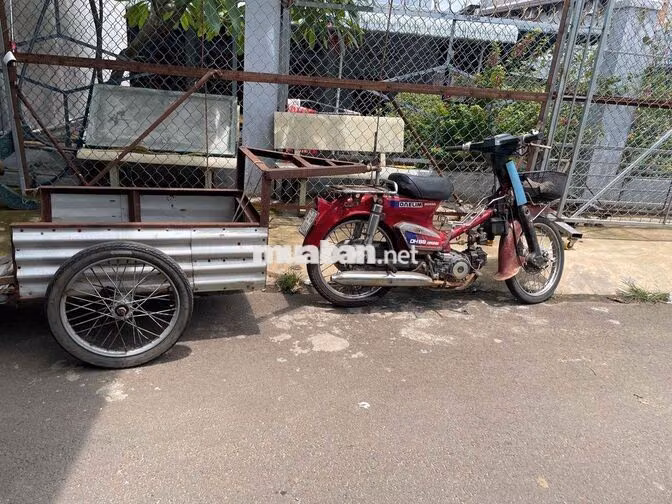 Honda Cup 70 DH88 Super Đỏ