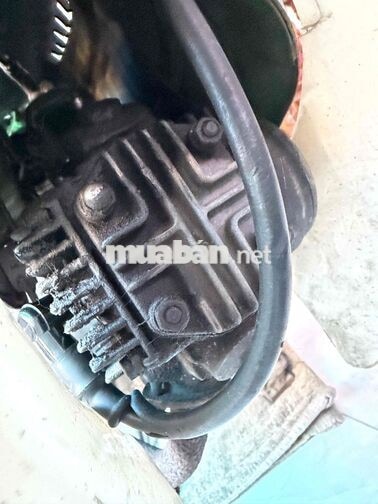 Honda Chaly Xanh lá Cổ điển