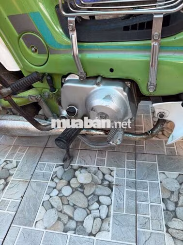 Honda Chaly Cổ điển Xanh lá Nhật Bản