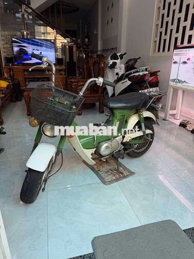 Honda Chaly Xanh lá, trắng