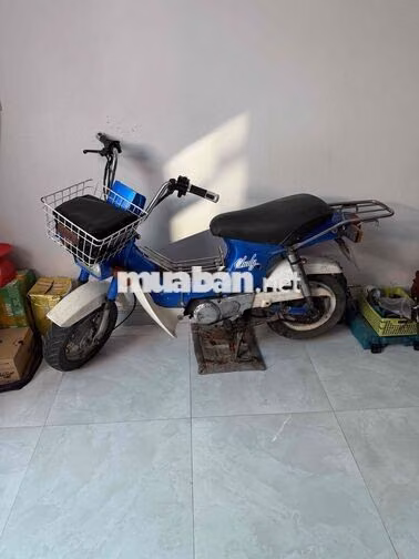 Honda Chaly Xanh dương Cổ điển