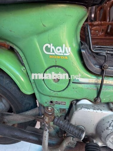 Honda Chaly Xanh lá Cổ điển