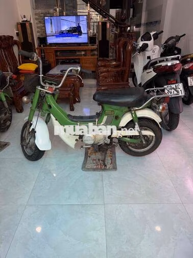 Honda Chaly Xanh lá, trắng