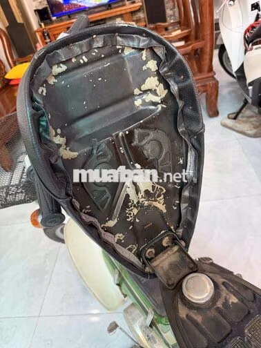 Honda Chaly Xanh lá, trắng