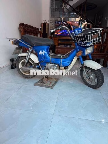 Honda Chaly Xanh dương Cổ điển