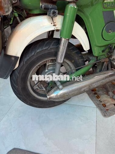 Honda Chaly Xanh lá, trắng