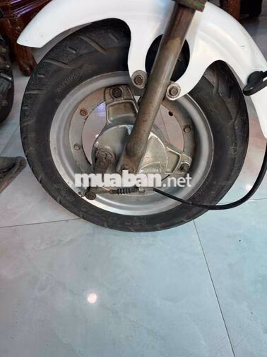 Honda Chaly Xanh lá, trắng