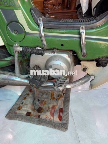 Honda Chaly Xanh lá, trắng