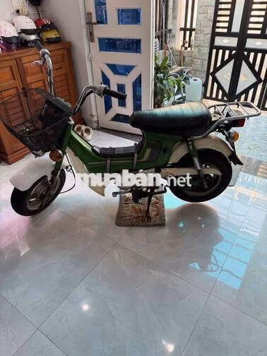Honda Chaly Xanh lá, trắng