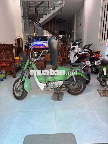 Honda Chaly Xanh lá Cổ điển