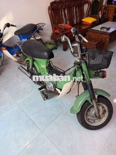 Honda Chaly Xanh lá Cổ điển