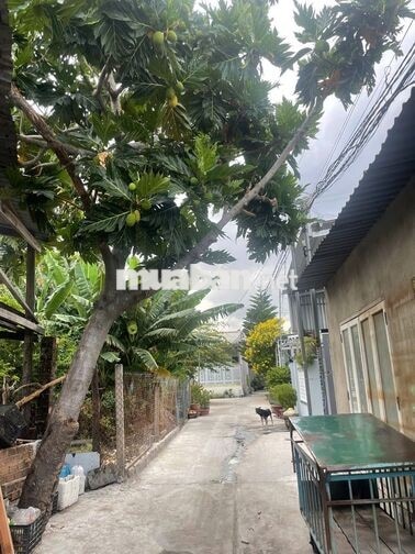 BÁN ĐẤT THỔ CƯ KHU VỰC P.NINH CHỮ-KHÁNH HÒA