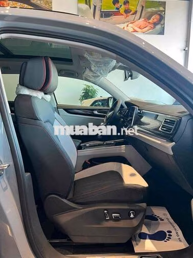Volkswagen Teramont X Platinum Xám