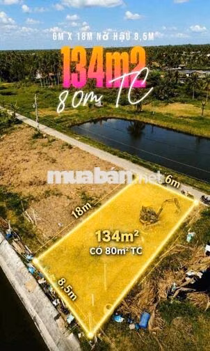 🌿 220TR/LÔ – THỔ CƯ GIÁ ĐẸP  Tân Phú, Tân Phú Đông, Tiền Giang