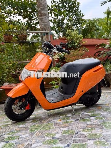 Honda Dunk 50cc