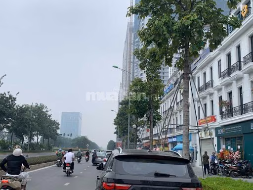 Bán shophouse Embassy Garden mặt đường 60m