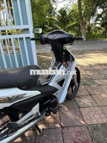 Honda Wave Alpha Trắng