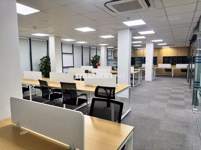 Mặt Bằng ShopHouse Ngang 12m! Mặt Tiền Nguyễn Huy Tưởng 12x25m QBT