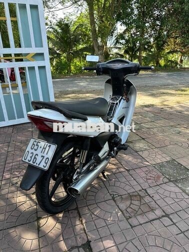 Honda Wave Alpha Trắng