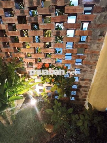 Nhà vừa kd,vừa ở hoặc làm văn phòng siêu đẹp