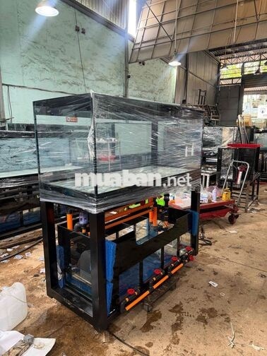 Cần Thợ  hoặc Phụ đào tạo Thi Công Hồ Cá công Nghệ