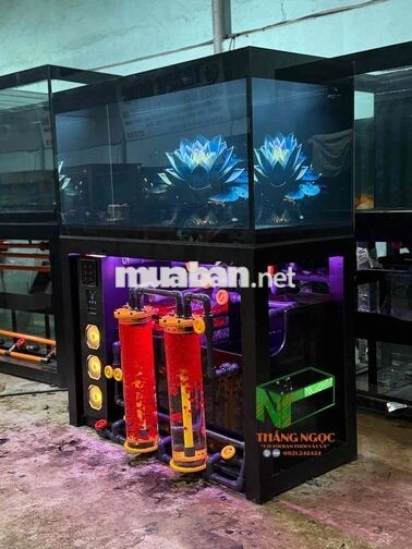 Cần Thợ  hoặc Phụ đào tạo Thi Công Hồ Cá công Nghệ