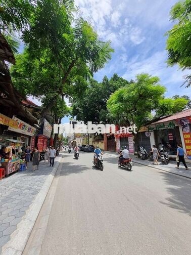 # 🔥 CHO THUÊ MẶT BẰNG KINH DOANH 250M² MẶT PHỐ THANH BÌNH – HÀ ĐÔNG