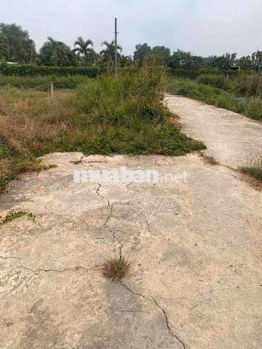 Sắp định cư sang Mỹ tho nên bán 148m2 đất thổ cư hẻm xe hơi