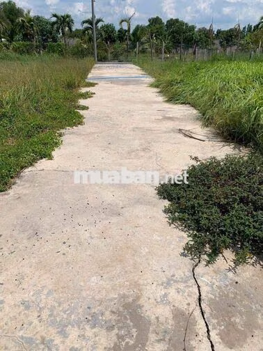 Sắp định cư sang Mỹ tho nên bán 148m2 đất thổ cư hẻm xe hơi