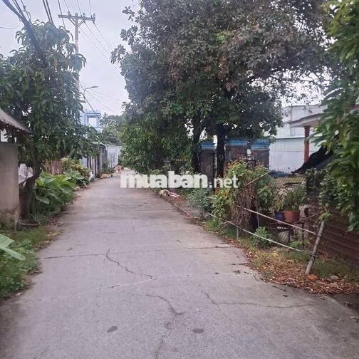 CHO THUÊ NHÀ GIÁ RẺ 4PN 3WC GIÁ 3.5TR