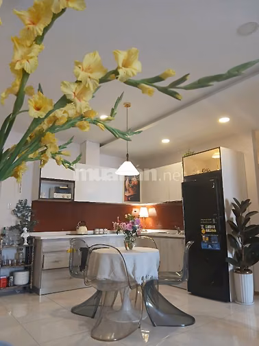 Đa dạng căn hộ Sát Trung Tâm từ 15TR 2PN Full NT, Ban Công, View đẹp