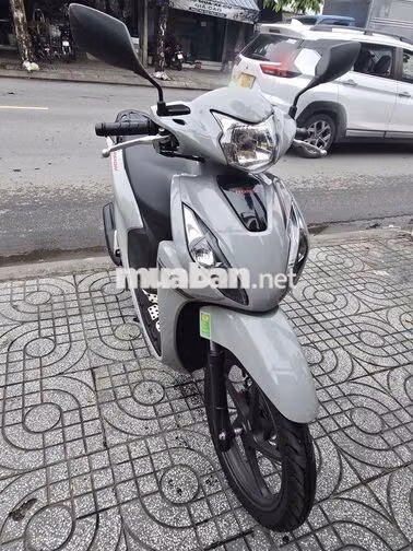 Vision 2024 Xám xi măng odo:8k.BS 62AL-09918.